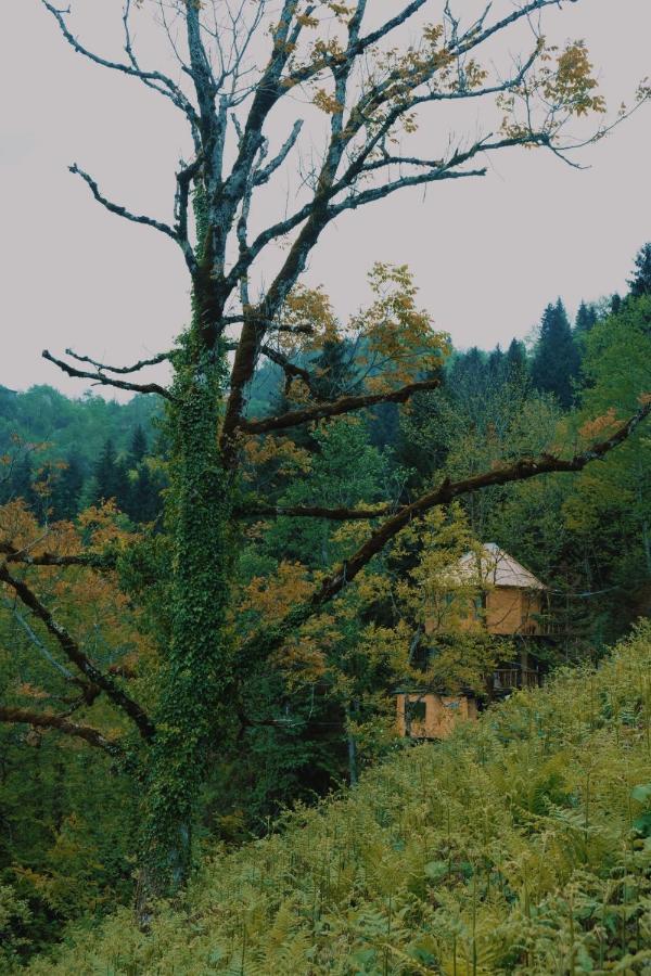 Hill Inn K'eda Exteriér fotografie
